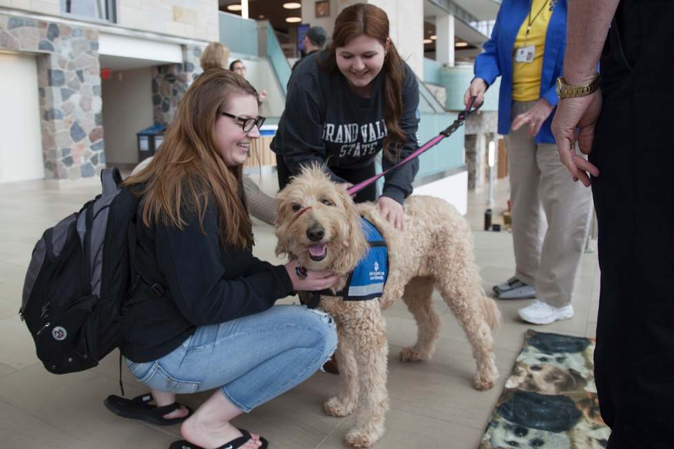 West Michigan Therapy Dogs 2019 University Counseling Center Grand